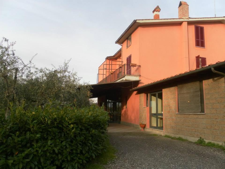 Il Contado B&B Castel Sant'Elia Bagian luar foto