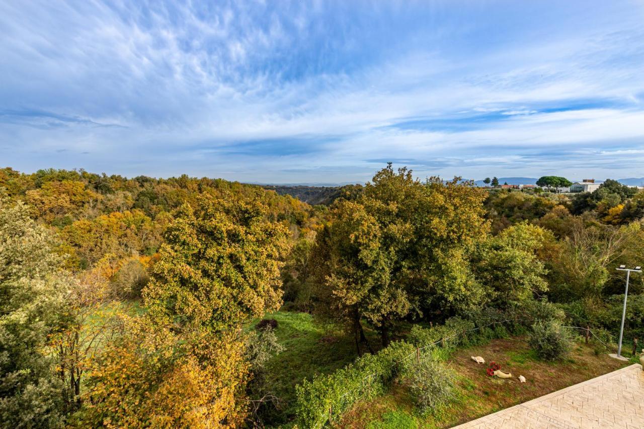 Il Contado B&B Castel Sant'Elia Bagian luar foto